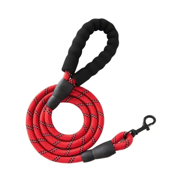 Reflective Nylon Pet Leash