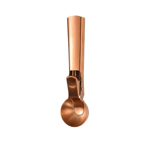 Stainless Steel Ice Cream Spoon