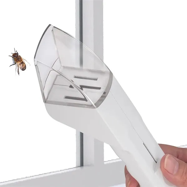 Children'S Insect Catching Tools