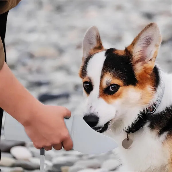 Outdoor Foldable Silicone Pet Drinking Cup With Rope
