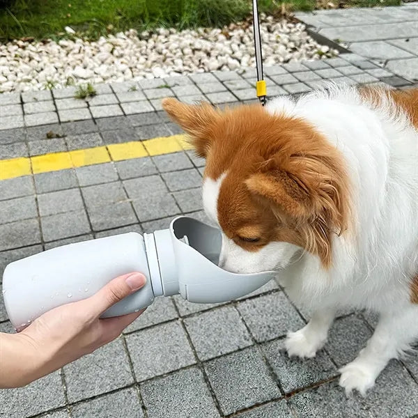 Outdoor Foldable Silicone Pet Drinking Cup With Rope