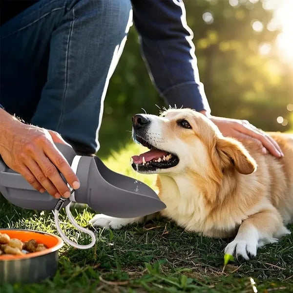 Portable Foldable Pet Outdoor Drinking Fountain