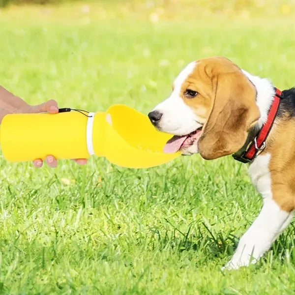 Portable Collapsible Silicone Pet Water Bottle with Bowl