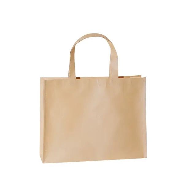 Non-woven Shopping Bag