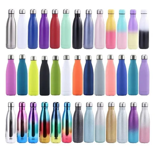 17oz Stainless Steel Insulated Water Bottle
