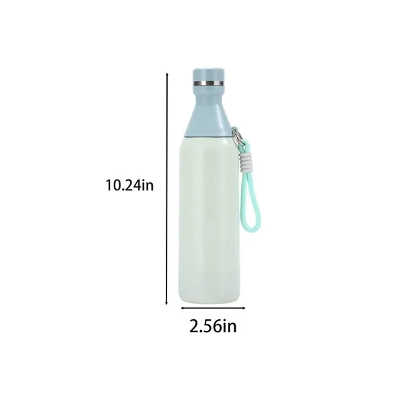 17oz Insulated Stainless Bottle