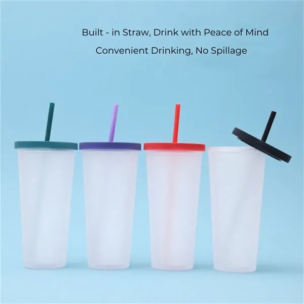 24oz Frosted Insulated Straw Tumbler with Leak - Proof Lid