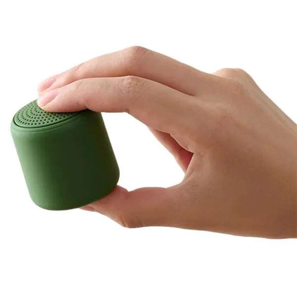 Portable Wireless Mini Speaker