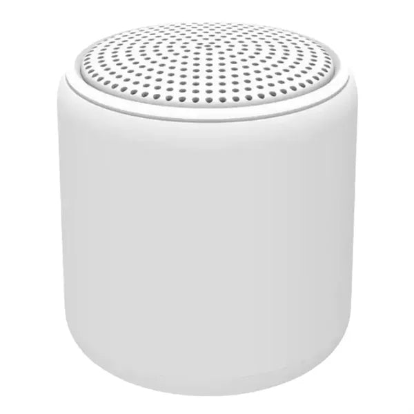 Portable Wireless Mini Speaker
