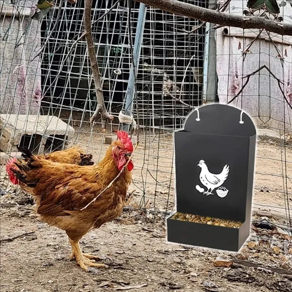 Farm Poultry Feeder For Chicken Grit And Oyster Shells