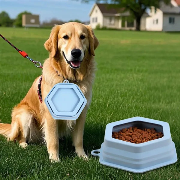 Silicone Foldable Pet Food Bowls Travel Hangable Bowl