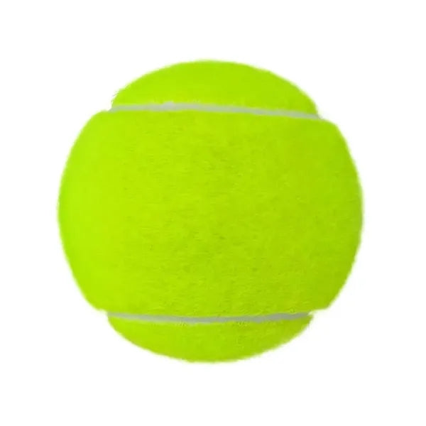 Pet Fetch Toy Tennis Ball