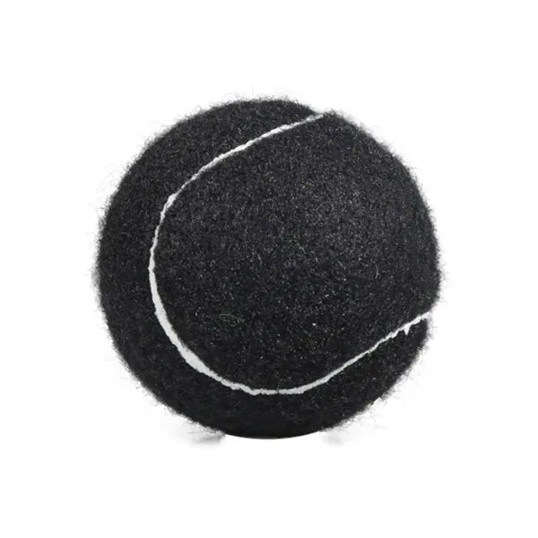 Pet Fetch Toy Tennis Ball