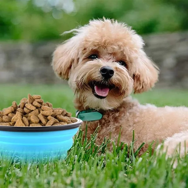 Dog Bowl Pet Collapsible Bowls