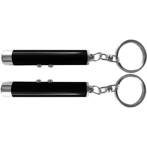 Dual function laser pointer and LED flashlight keychain