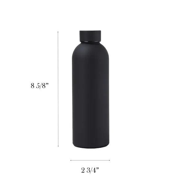 Rubber-Coated Stainless Insulated Bottle