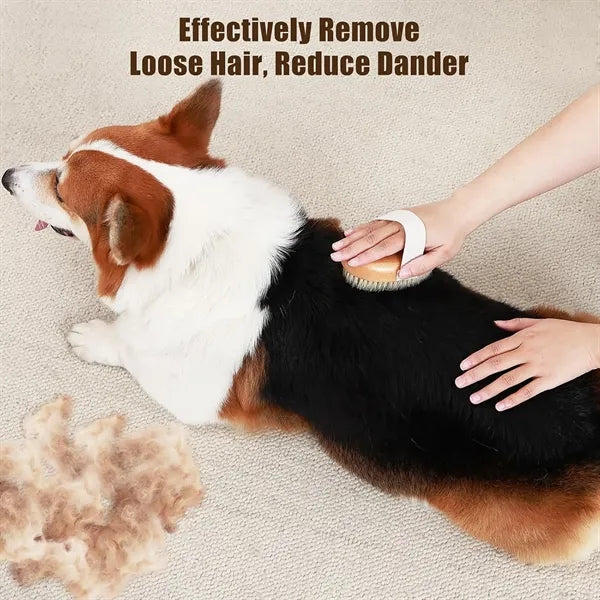 Boar Bristle Pet Palm Wood Brush