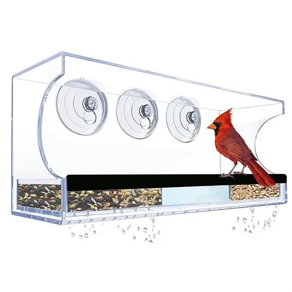 Bird feeder