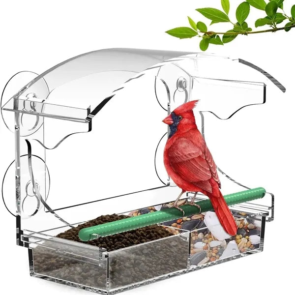 Window Bird feeder