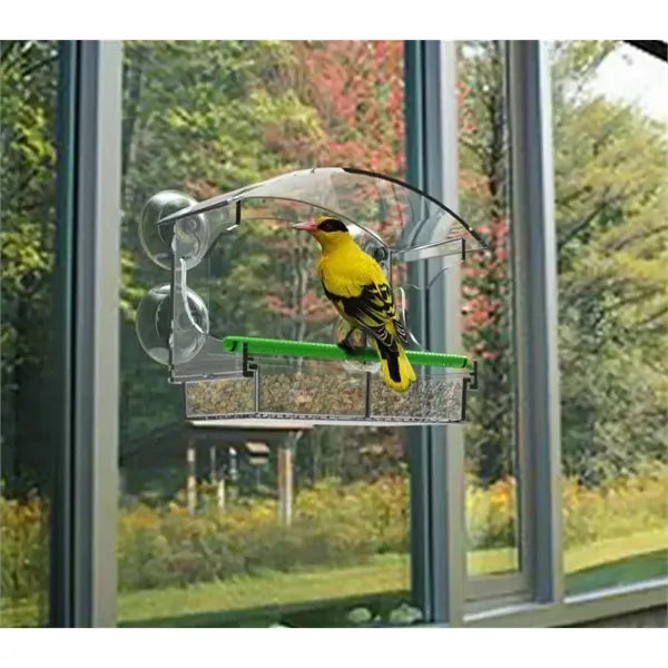 Window Bird feeder