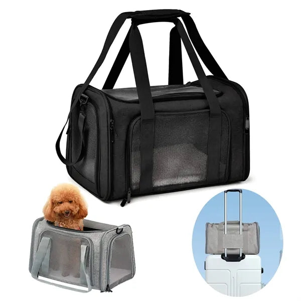 Pet Travel Carry Bag