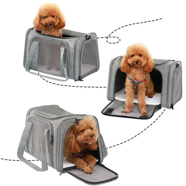 Pet Travel Carry Bag