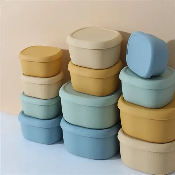 Silicone preservation box
