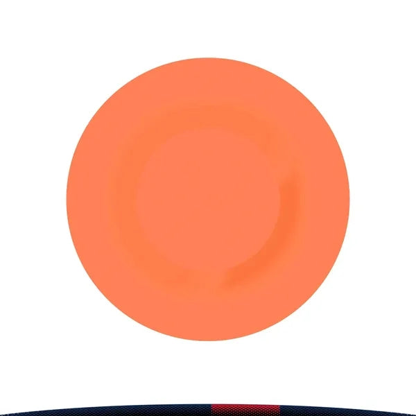 Koail Mini Flying Disc