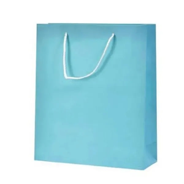Eco-Friendly Large Paper Gift Bag
