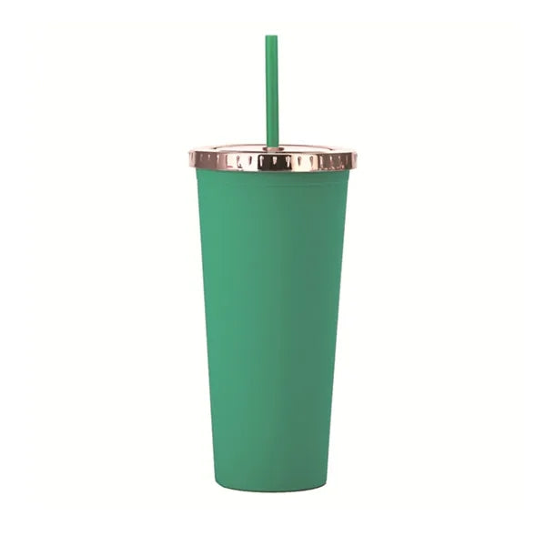 Double Straw Tumbler