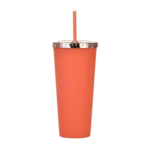 Double Straw Tumbler
