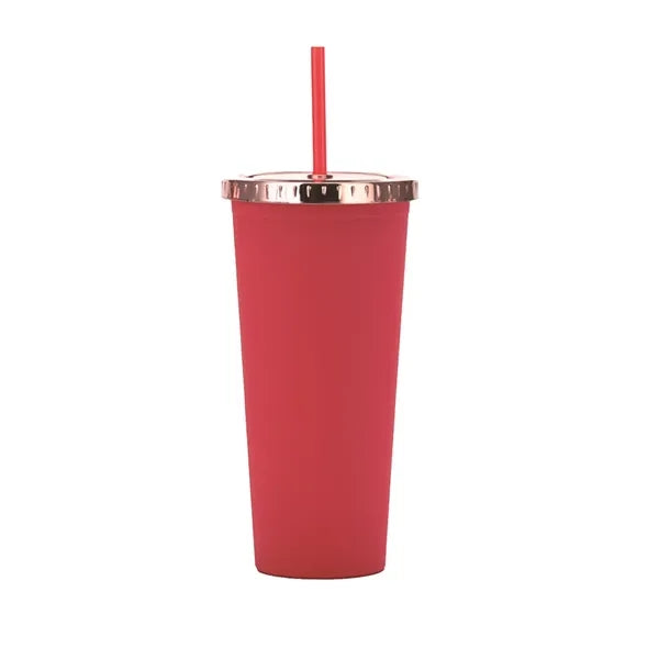 Double Straw Tumbler