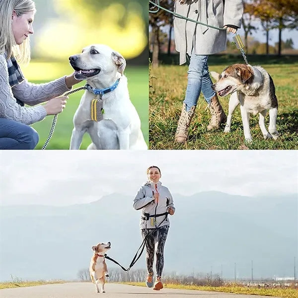 Double Zipper Dog Poop Bag Holder Dispenser Treat Pouch