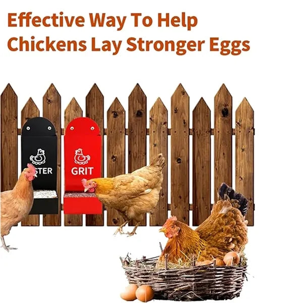 Chicken Grit Feeder Coop Accessories
