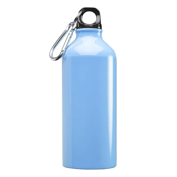 Aluminum Sports Water Bottle - Carabiner, 20 oz.