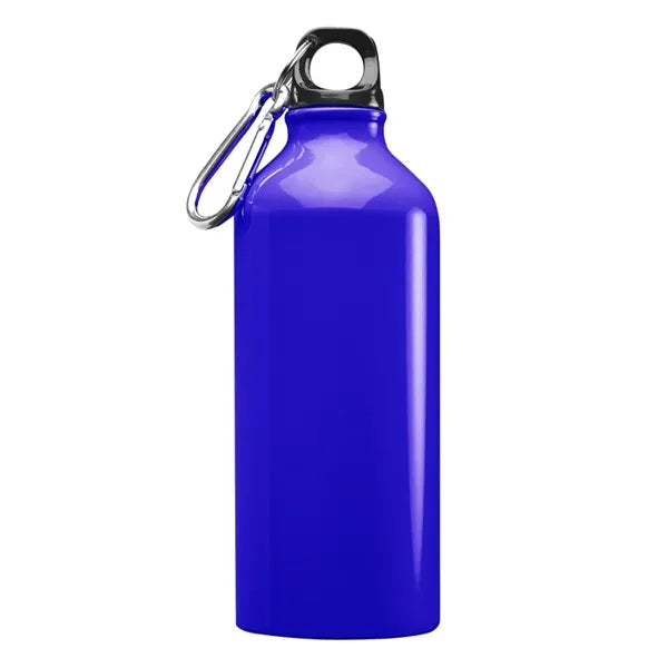 Aluminum Sports Water Bottle - Carabiner, 20 oz.