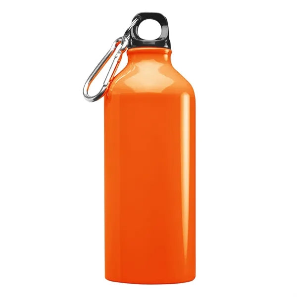 Aluminum Sports Water Bottle - Carabiner, 20 oz.
