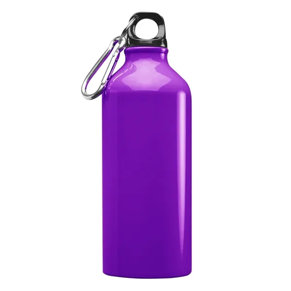 Aluminum Sports Water Bottle - Carabiner, 20 oz.