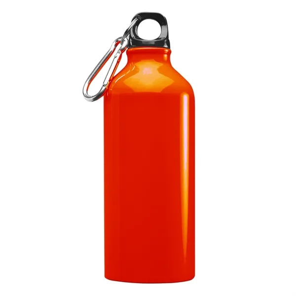 Aluminum Sports Water Bottle - Carabiner, 20 oz.