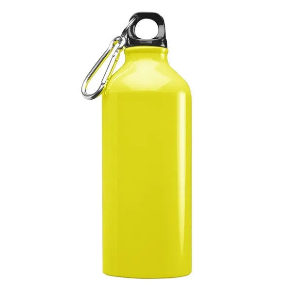 Aluminum Sports Water Bottle - Carabiner, 20 oz.