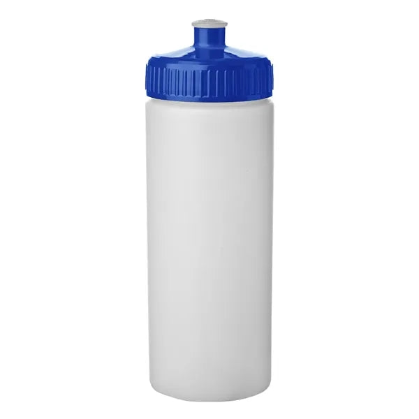 20 oz. Frosted Plastic Water Bottles