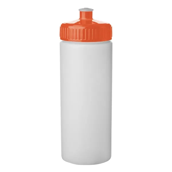 20 oz. Frosted Plastic Water Bottles