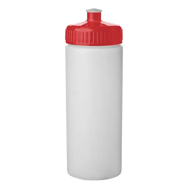 20 oz. Frosted Plastic Water Bottles