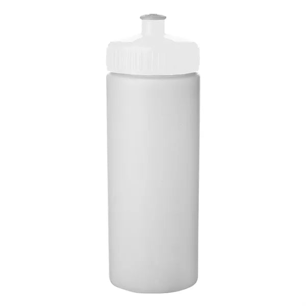 20 oz. Frosted Plastic Water Bottles