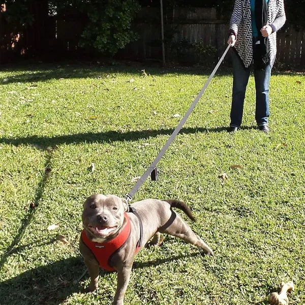 Thickened Reflective Pet Leash