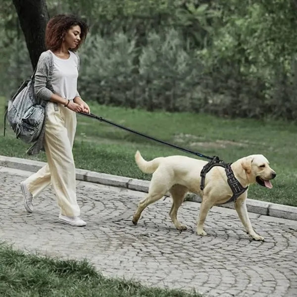 Thickened Reflective Pet Leash