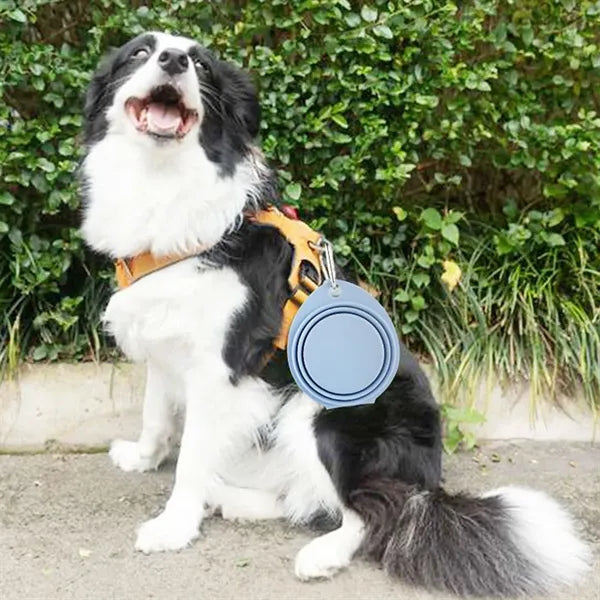 Collapsible Silicone Pet Bowl