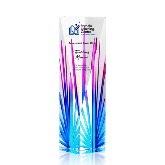 Modern Faceted Crystal Vase Award