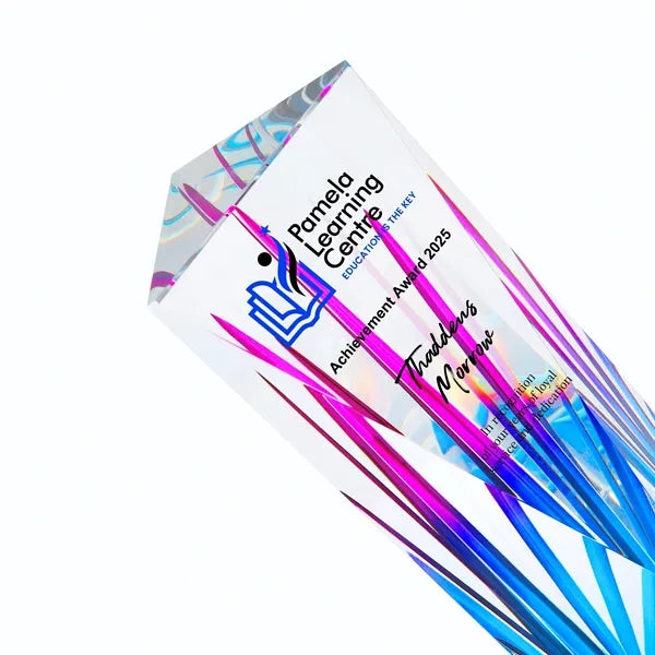 Modern Faceted Crystal Vase Award