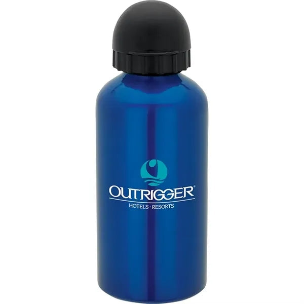 16.9 oz. Domed Flask